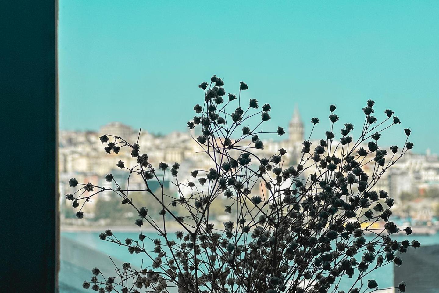 The Halic Bosphorus Hotel İstanbul Dış mekan fotoğraf
